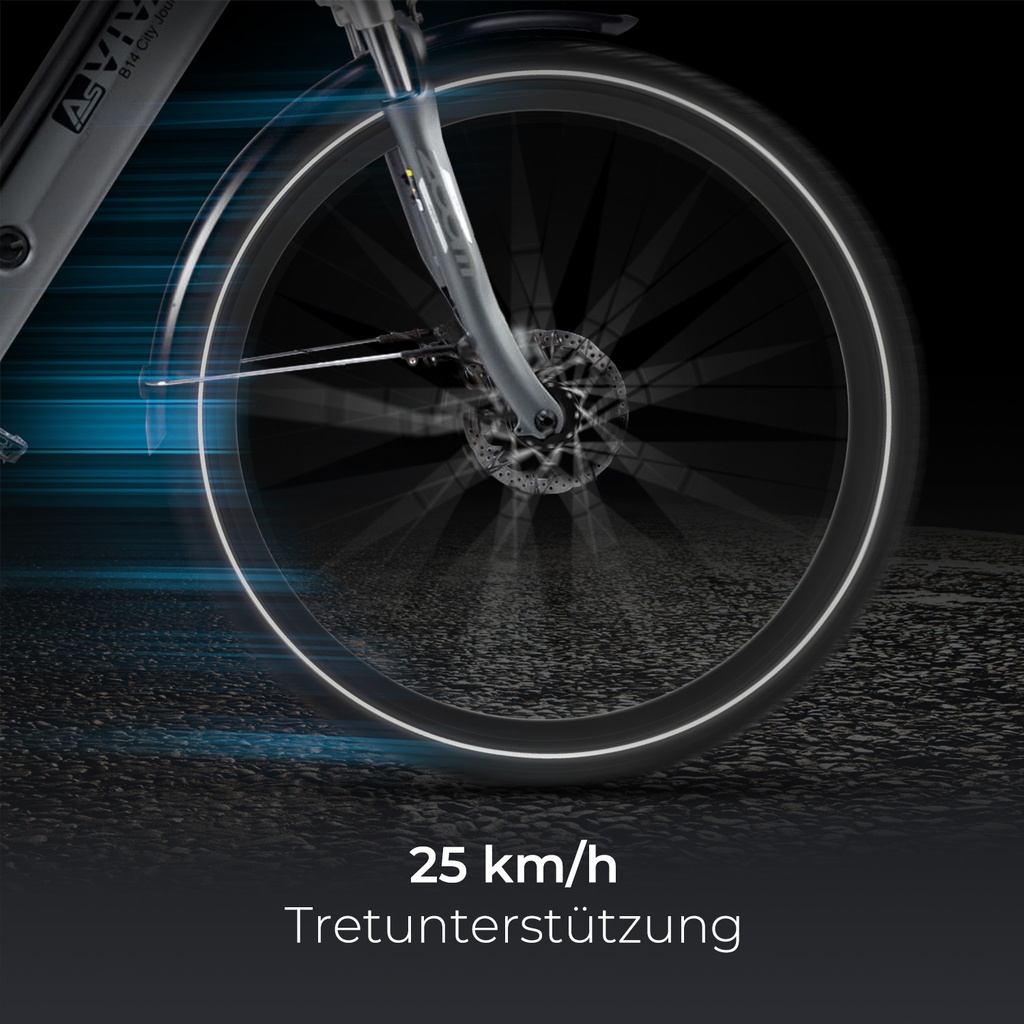 AsVIVA City E-Bike Stadtfalter B14 – Szary/Biały – Widok 7