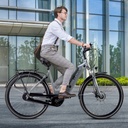 AsVIVA City E-Bike Stadtfalter B14 – Szary/Biały – Widok 11