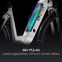 AsVIVA City E-Bike Stadtfalter B14 – Szary/Biały – Widok 4