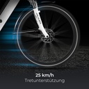 AsVIVA City E-Bike Stadtfalter B14 – Szary/Biały – widok 6
