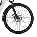 AsVIVA City E-Bike Stadtfalter B14 – Szary/Biały – opony