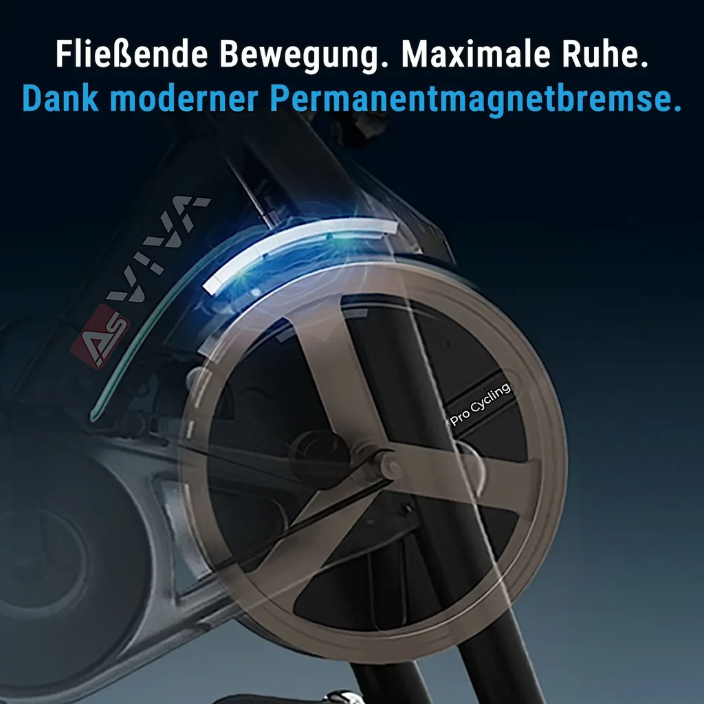 Niewymagający częstej konserwacji hamulec magnetyczny AsVIVA Speedbike S11S dla cichej i płynnej pracy