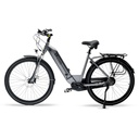 City E-Bike Stadtfalter B14 – 28 cali – biały - widok produktu